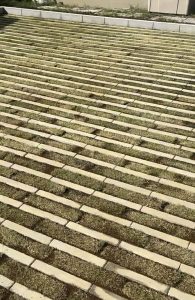 緑化ブロック、天然芝とインターロッキング